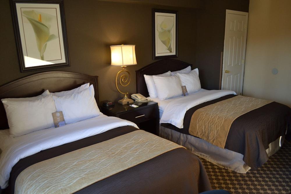 Quality Inn Ithaca - University Area Dış mekan fotoğraf