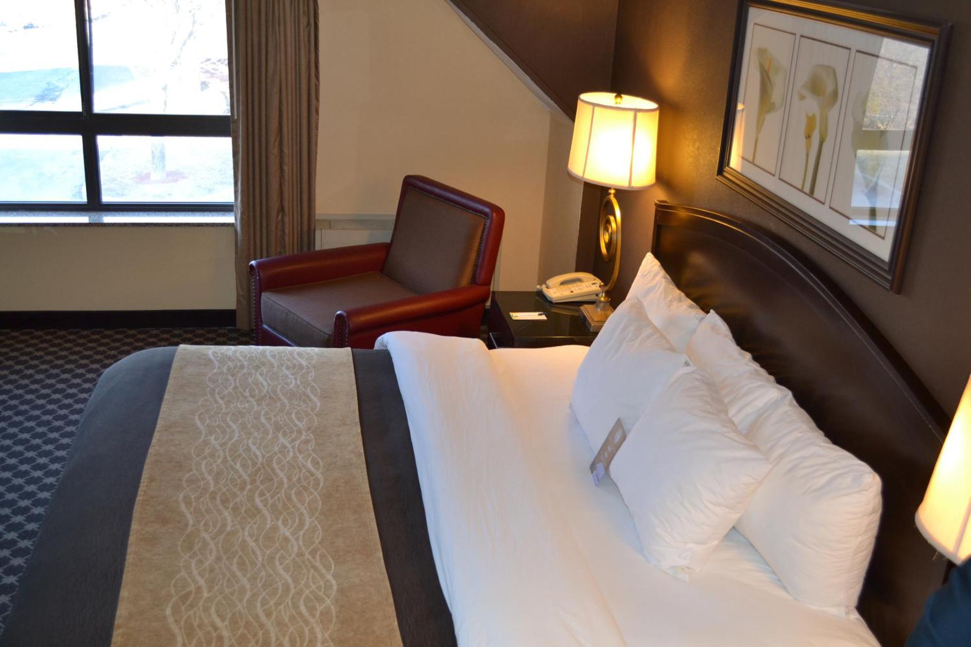 Quality Inn Ithaca - University Area Oda fotoğraf